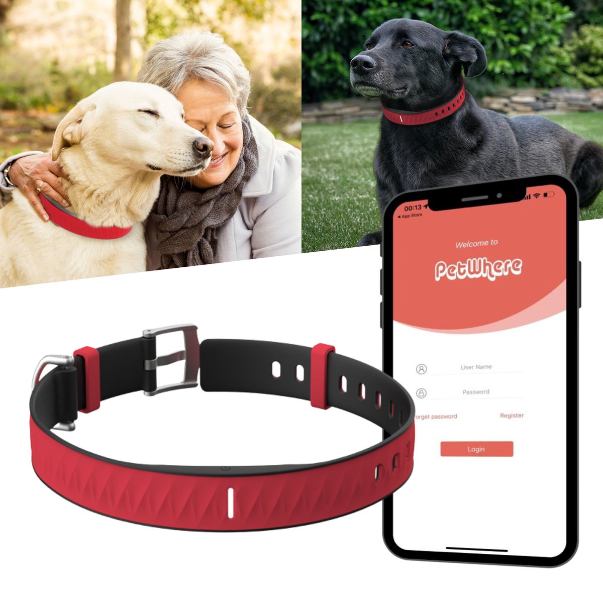 GPS tracker Hond & Kat iOS huisdier met halsband | FindMy PetTag