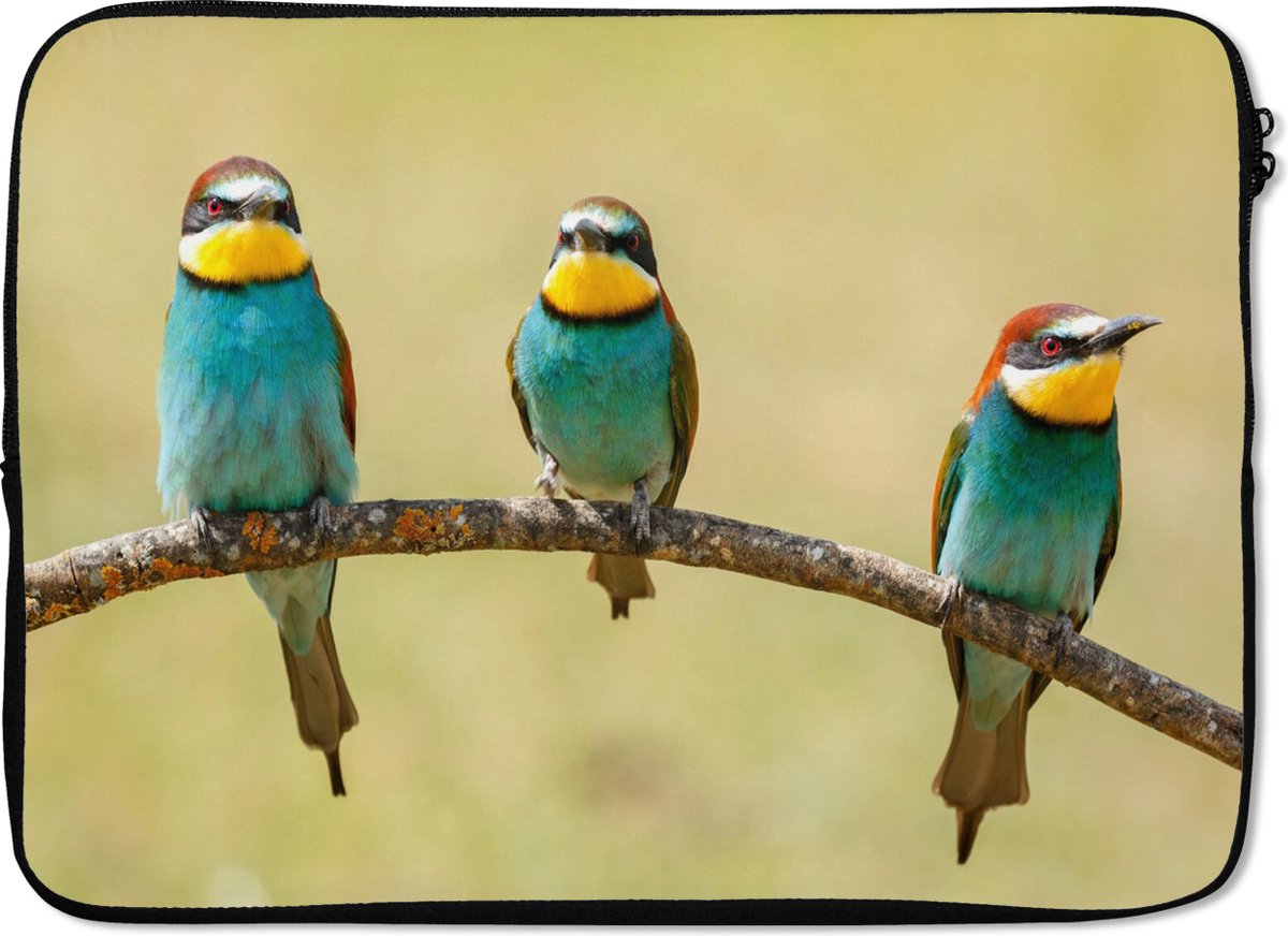 Laptophoes 13 inch - Vogels - Dieren - Bijeneter - Laptop sleeve - Binnenmaat 32x22,5 cm - Zwarte achterkant