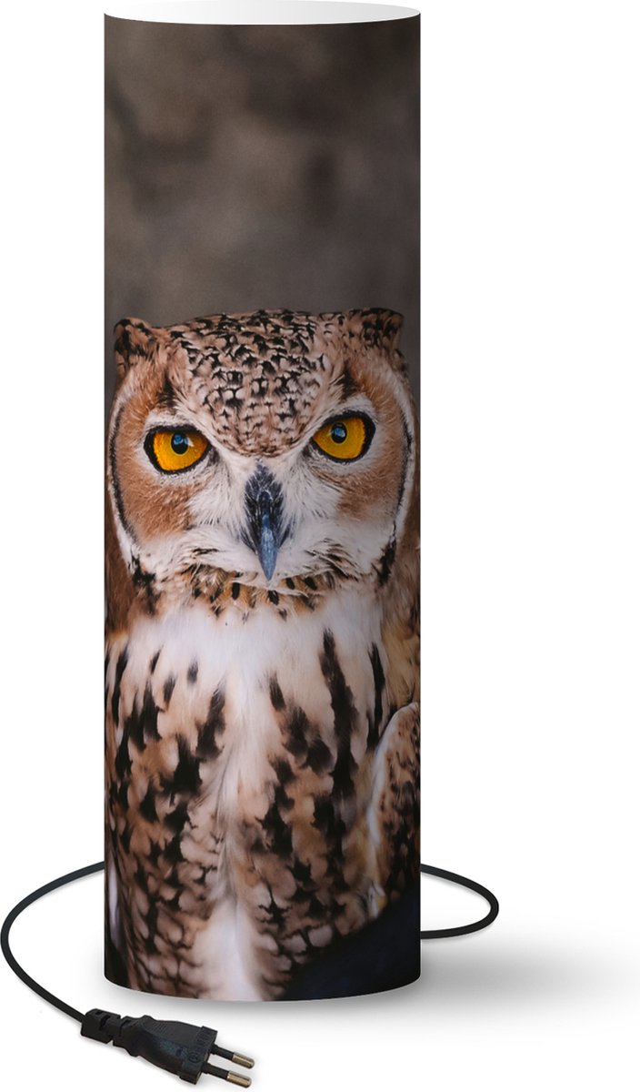 Lamp - Nachtlampje - Tafellamp slaapkamer - Bruine uil - Vogel - Dieren - 60 cm hoog - Ø19.1 cm - Inclusief LED lamp