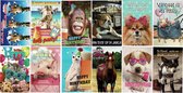 12 Luxe wenskaarten - Grappige dierenkaarten - Verjaardag - 12x17cm - Gevouwen kaarten met enveloppen