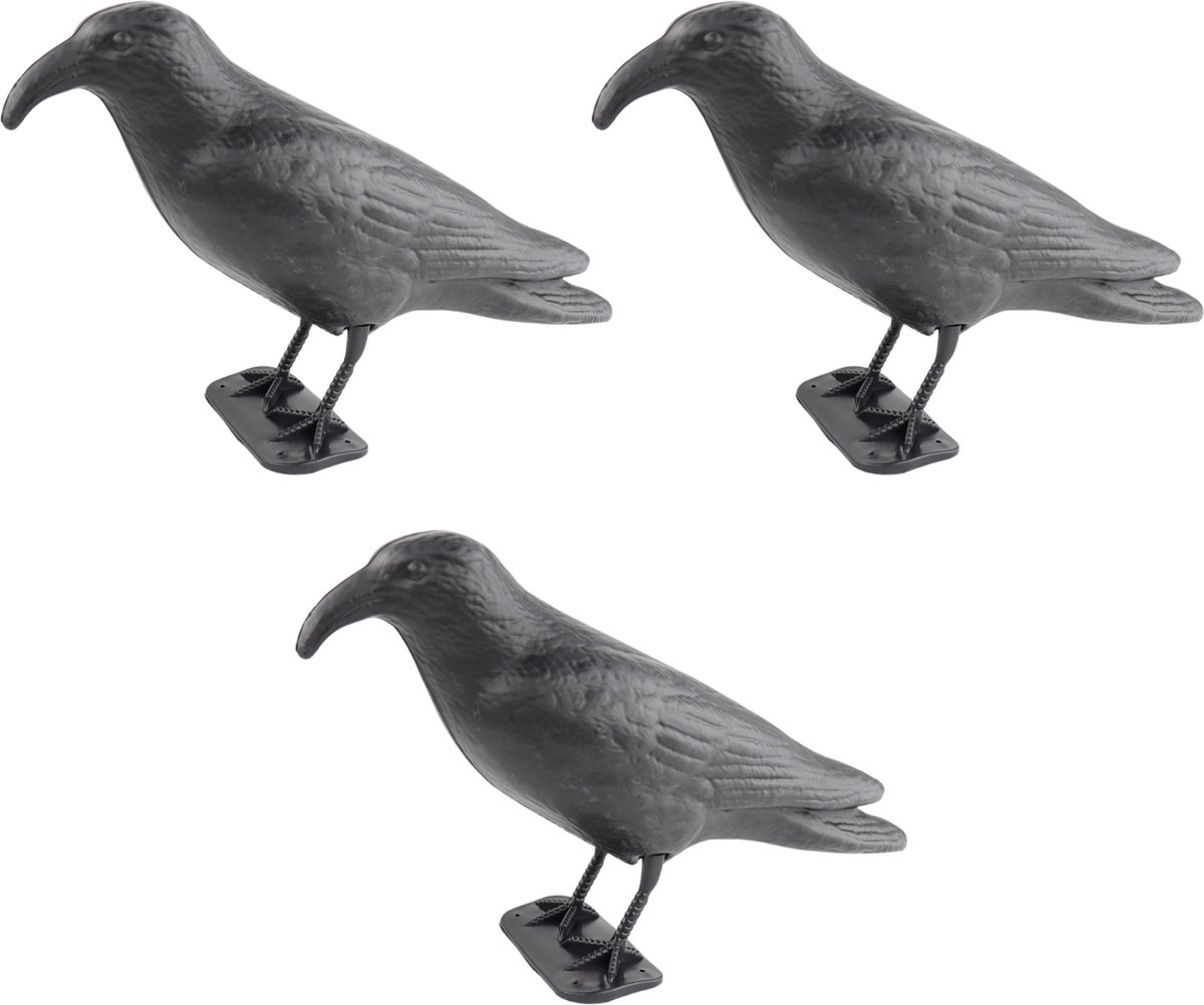 Corneille anti-pigeons - avec bruitage - Webshop - Matelma