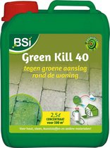 BSI - Green Kill 40 - Tegen Groene aanslag en korstmossen in en rond de tuin - 2,5 l voor 500 m²