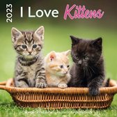 Kittens I Love Kalender 2023