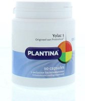 Plantina Yolac