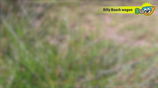 Sunny Billy Beach Wagon Bolderkar Zwart - Blank hout - Bolderwagen met  luchtbanden -... | bol