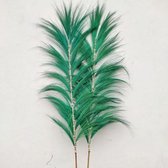 Rayung Gras Pluimen Groen - Decoratieve Pluimen - 1.6m - Handgemaakt
