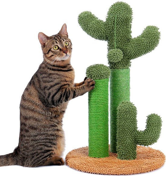 Polaza®️ Krabpaal Voor Katten – Kat Krabmeubel Met Cactus Design – Krabpalen – Kattenspeeltjes – Met Balletje – Huisdier – Groen