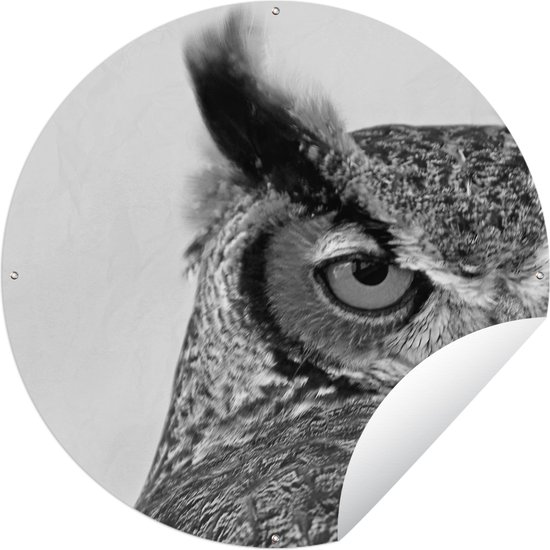 Cercle de jardin Moitié du visage d'un hibou marron - noir et blanc - 150x150 cm - Affiche de Jardin Ronde - Extérieur