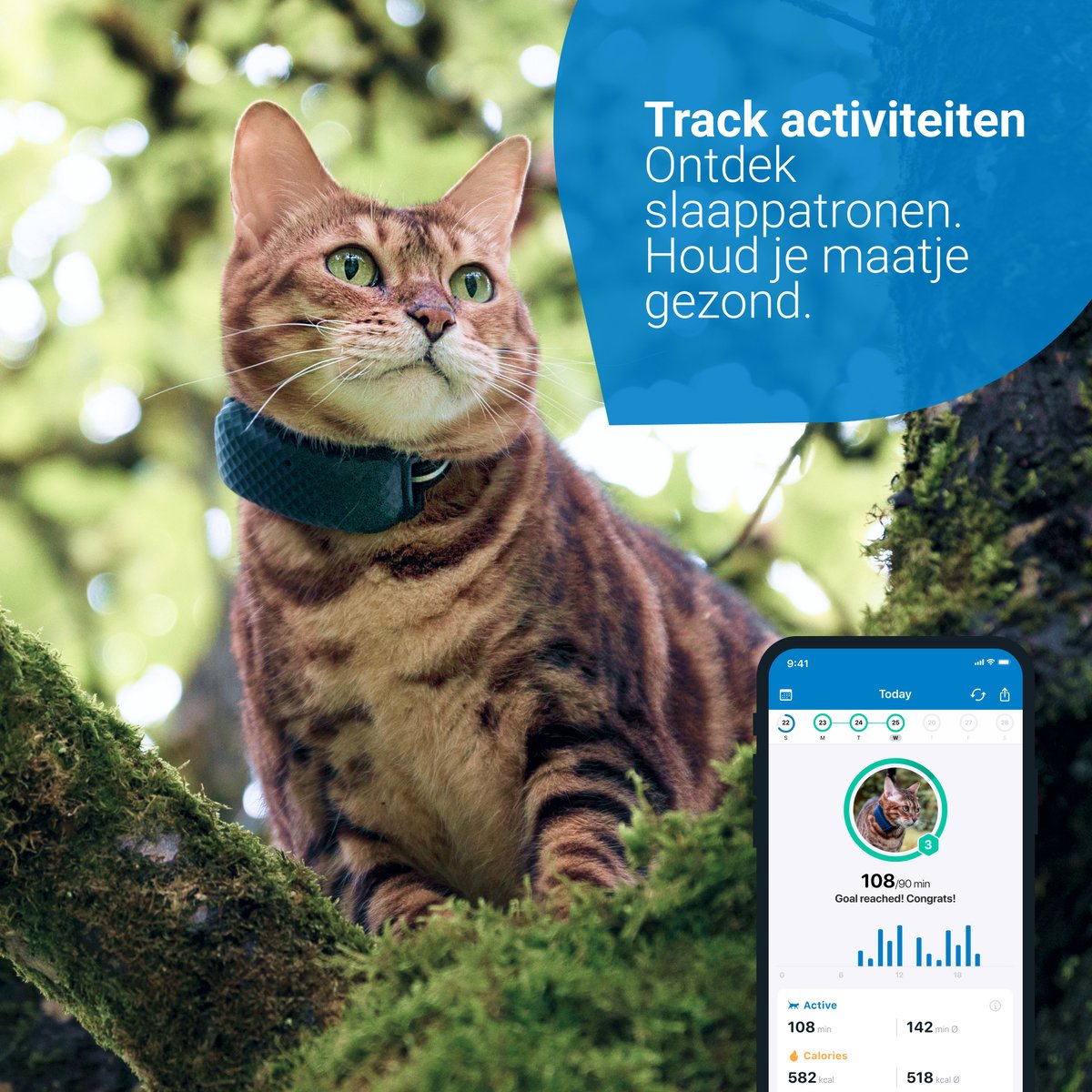 Tractive CAT Mini - GPS pour chat avec moniteur d'activité - Bleu