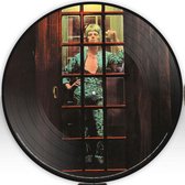 David Bowie - Ziggy Stardust (Picture Disc Vinyl)
