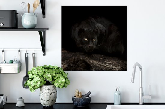 Affiche Panthère - Tronc d'arbre - Zwart - 50x50 cm