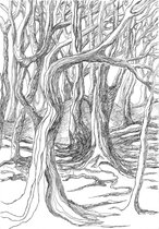 Kunstkaart Bomen 11 - wenskaart - zwart - wit