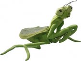 Bid sprinkhaan insecten knuffel 35 cm - decoratie dieren/beesten