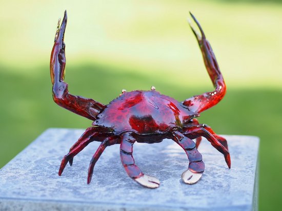 Foto: Krab rood massief brons 15 cm hoog bronzen beeld tuinbeeld hoogkwalitatief brons decoratiefiguur interieur accessoire voor binnen voor buiten cadeau geschenk kerst nieuwjaar verjaardag