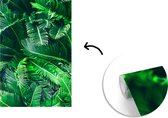 Behang - Fotobehang Close-up van groene sagopalm bladeren - Breedte 175 cm x hoogte 260 cm