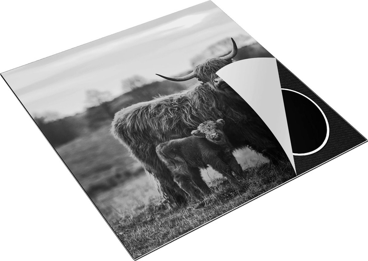 Chefcare Inductie Beschermer Schotse Hooglander Koe met haar Kalf - Zwart Wit - 78x78 cm - Afdekplaat Inductie - Kookplaat Beschermer - Inductie Mat