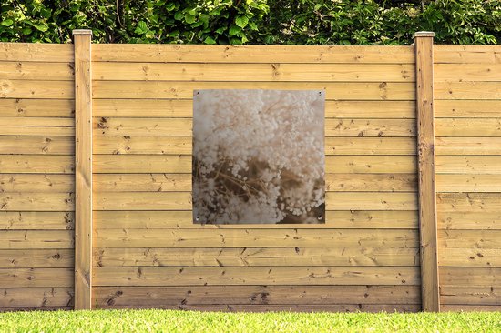 Affiche jardin - Pampa - Herbe de la pampa plante de jardin - Plantes - Nature - Rose - 100x100 cm - Affiche jardin fleurs - Jardin - Décoration murale - Décoration murale - Toile jardin - Affiche extérieur