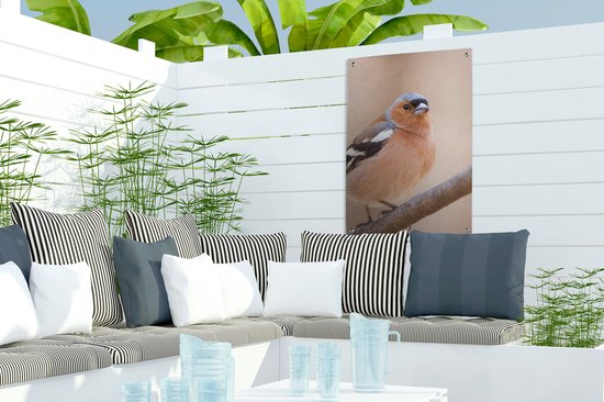 Poster de Jardin Vogel - Animaux - Pinson - 200x200 cm - Toile de jardin