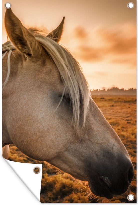 Tuinposter - Paarden - Dieren - Boerderijdieren - Lucht - 120x180 cm - Tuindoek - Tuinschilderij - Muurdecoratie - Wanddecoratie