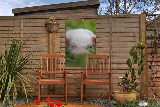 Affiche de jardin - Cochon - Herbe - Animaux - Vert - Jardin - Peinture de jardin - 40x60 cm - Décoration murale - Décoration murale - Toile de jardin - Affiche d'extérieur