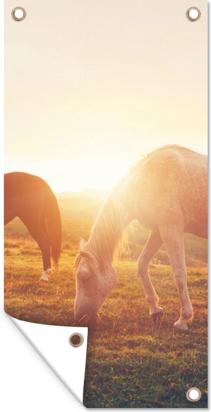 Affiche de jardin - Paarden - Herbe - Soleil - Animaux - 40x80 cm - Serviettes de jardin pour l'extérieur - Jardin