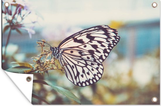 Tuinposter - Vlinders - Bloemen - Planten - Natuur - Tuinposters buiten - 60x40 cm - Tuindoek
