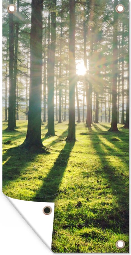 Tuinposter - Natuur - Tuinposter bos - Bomen - Bos - Bladeren - 100x200 cm - Schuttingposter - Tuinschilderij - Tuindecoratie - Tuindoek - Buitenposter