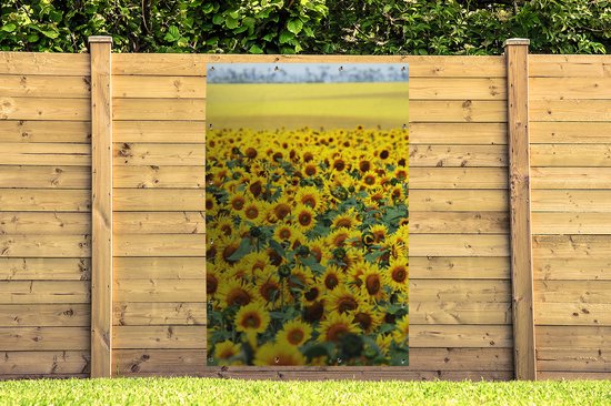 Tuinposter - Bloemen - Zonnebloemen - Tuindecoratie - Bloemenveld - 120x180 cm - Tuinschilderij - Tuindoek