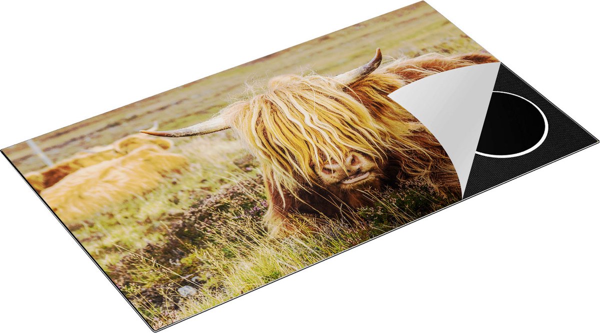 Chefcare Inductie Beschermer Harige Schotste Hooglander Koe in het Gras - 90x50 cm - Afdekplaat Inductie - Kookplaat Beschermer - Inductie Mat