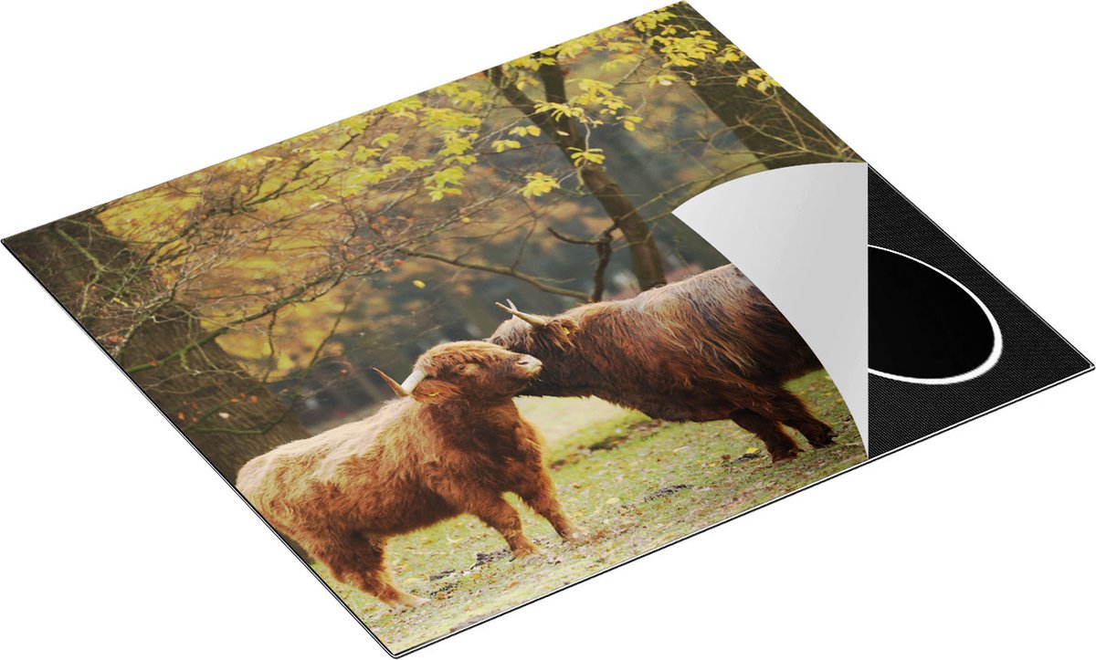 Chefcare Inductie Beschermer Twee Schotse Hooglanders Kussen Elkaar - Liefde - 60x50 cm - Afdekplaat Inductie - Kookplaat Beschermer - Inductie Mat