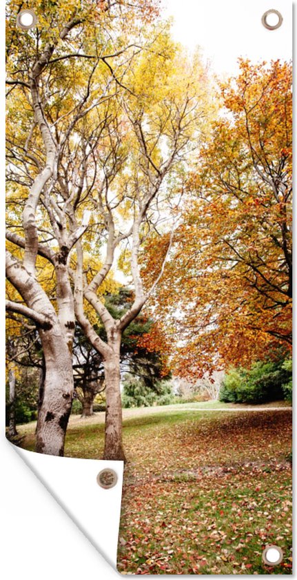 Gards Tuinposter Waterval in de Herfst Kleuren - 100x100 cm - Tuindoek