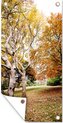 Affiche jardin d'automne - CM 1:2 3-5