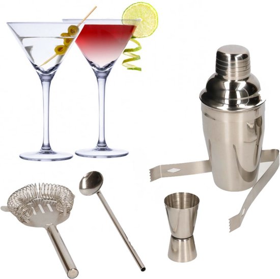 Ensemble de bar complet avec 4 verres à cocktail Martini et shaker à  cocktail | bol