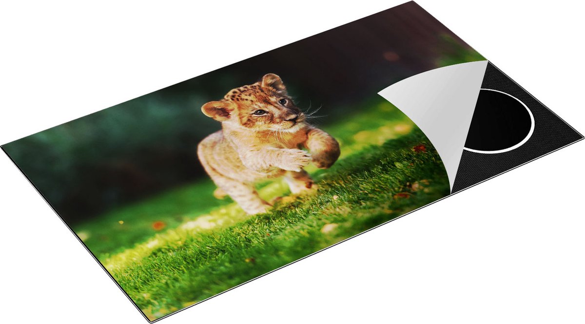 Chefcare Inductie Beschermer Jonge Baby Leeuw in het Wild - Welp - 90x52 cm - Afdekplaat Inductie - Kookplaat Beschermer - Inductie Mat