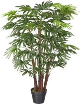 Plante artificielle palmier Fortunei H110cm - HTT Decorations