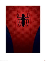 Pyramid Poster - Ultimate Spider-man Spider-man Torso - 80 X 60 Cm - Multicolor