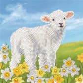 Crystal Card kit diamond painting Little Lamb 18 x 18 cm