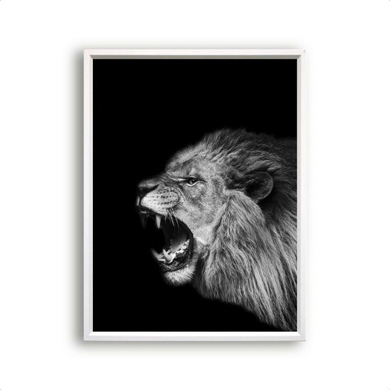 Poster Safari leeuw brul - Zwart / Wit / Zwart / Wit / 30x21cm