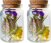 Droogbloemen in glas met kruk | Set van 2 glazen flesjes | Dried flowers | Gedroogde bloemen | Ø4,7 x 7,8 cm