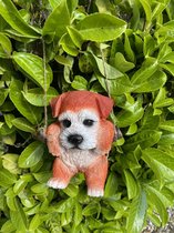 Polyresin hangend (tuin) dier "hond" - rood - hoogte 15x10x8 cm - ophangtouw - Voor binnen of buiten - Tuinaccessoires - Woonaccessoires