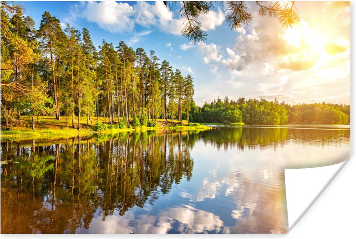 Poster Water - Bomen - Natuur - 90x60 cm