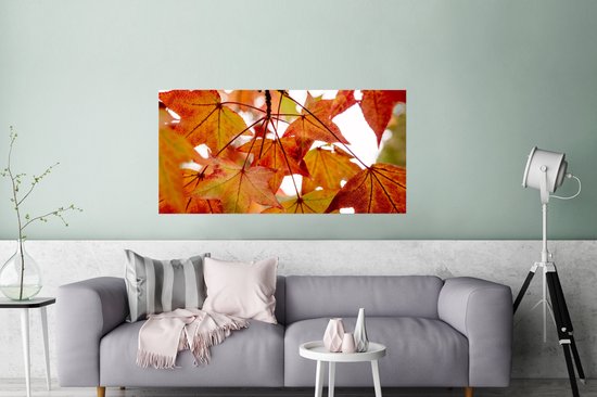 Affiche Branches d'Automne - Feuilles - Saisons - Rural - 120x60 cm