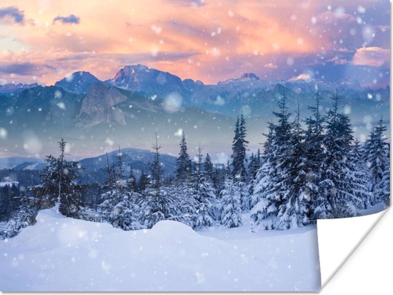 Affiche Neige - Ciel - Forêt - Hiver - 40x30 cm