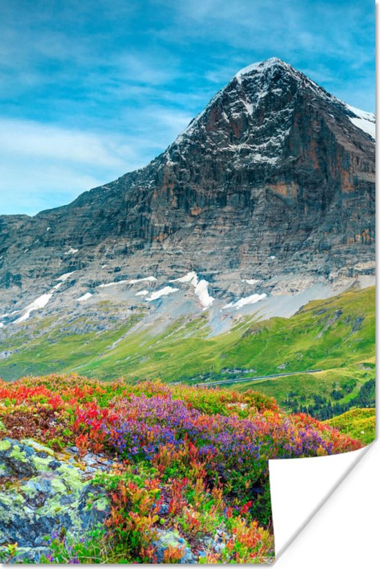 Poster Bloemen - Berg - Sneeuw - Landschap