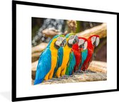 Cadre photo avec affiche - Vogels - Perroquet - Tropical - Nature - 80x60 cm - Cadre pour affiche