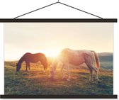 Porte-affiche avec affiche - Affiche scolaire - Paarden - Soleil - Animaux - 120x80 cm - Lattes noires