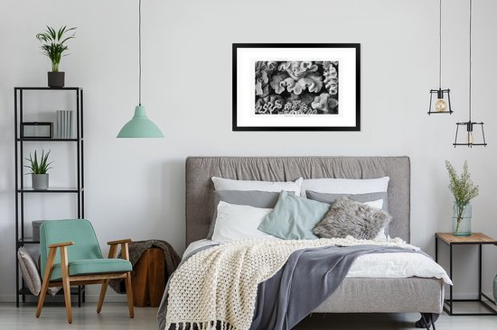 Cadre photo avec affiche - Art - Corail - Ernst Haeckel - Maîtres anciens - Nature - 90x60 cm - Cadre pour affiche