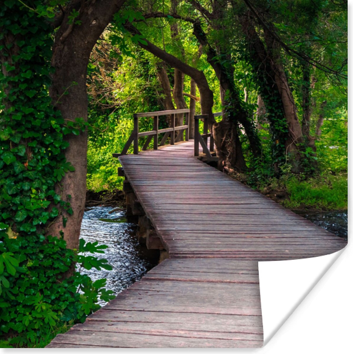 Poster Bos - Natuur - Brug - 75x75 cm