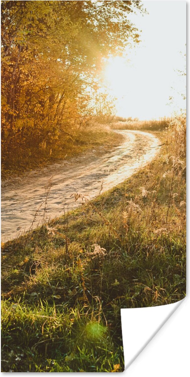 Poster Pad - Natuur - Boom - 20x40 cm