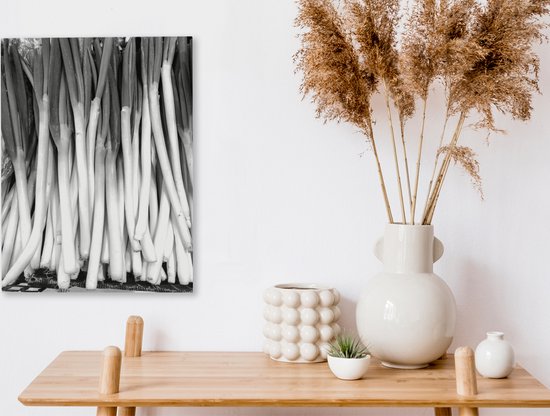 Tableau sur toile Oignons de Saint-Jean allongés empilés dans une caisse - noir et blanc - 30x40 cm - Décoration murale